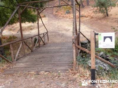 Senderismo por El Castañar de El Tiemblo - Senderismo Ávila